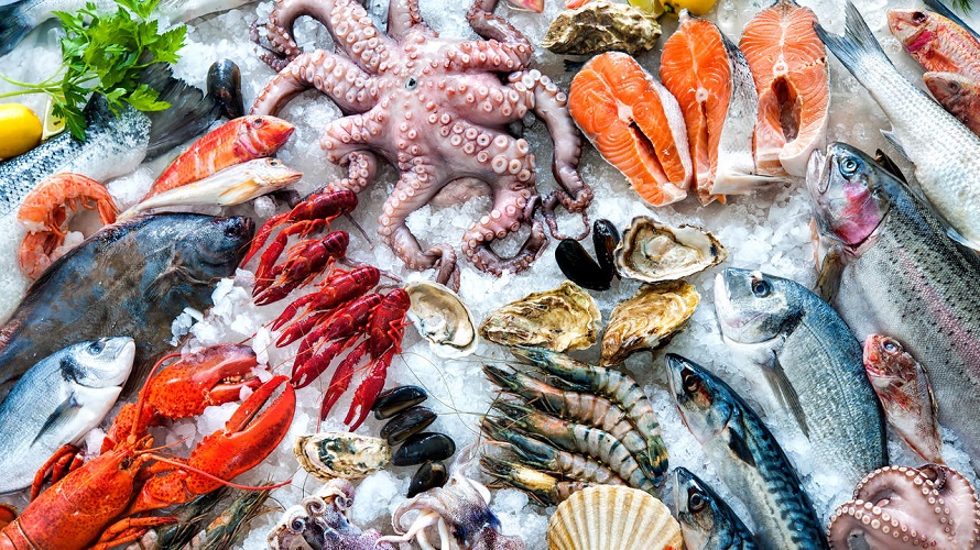 غذاهای حاوی ماهی و میگو